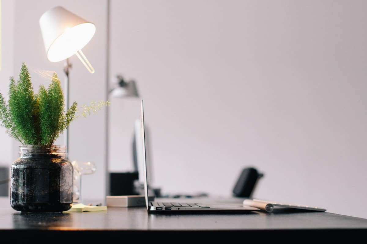 Stylish modern office desk with laptop, lamp, and indoor plant for productive work environment.